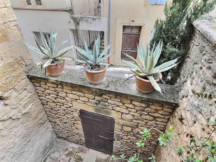 Chez Lydia - Loft Cosy, Depart Canoe A Pied, Proche Pont-Du-Gard Et Uzes Remoulins Exteriör bild